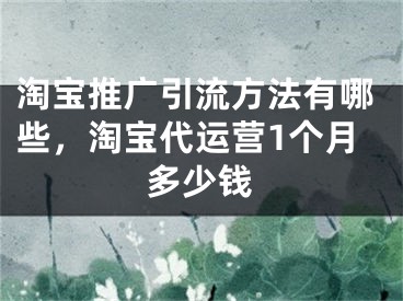 淘宝推广引流方法有哪些，淘宝代运营1个月多少钱