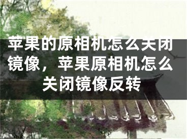 苹果的原相机怎么关闭镜像，苹果原相机怎么关闭镜像反转