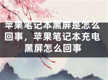 苹果笔记本黑屏是怎么回事，苹果笔记本充电黑屏怎么回事