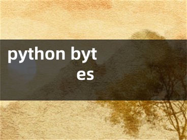 python bytes