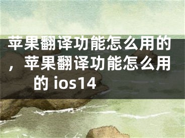 苹果翻译功能怎么用的，苹果翻译功能怎么用的 ios14