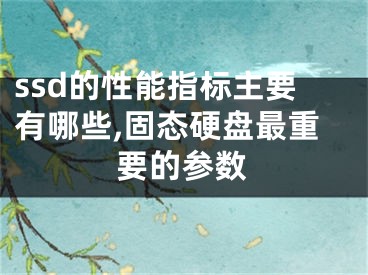 ssd的性能指标主要有哪些,固态硬盘最重要的参数