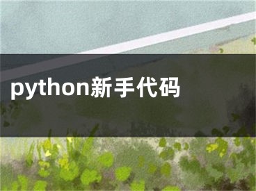 python新手代码