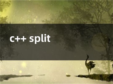 c++ split