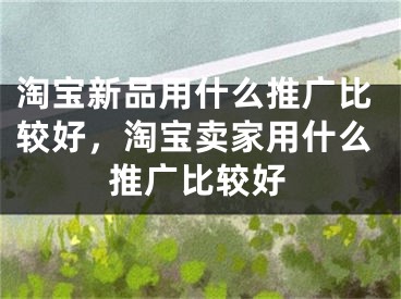 淘宝新品用什么推广比较好，淘宝卖家用什么推广比较好