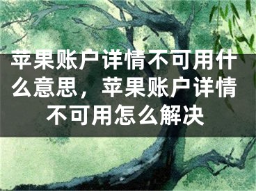 苹果账户详情不可用什么意思，苹果账户详情不可用怎么解决