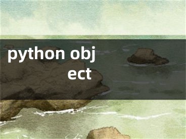 python object