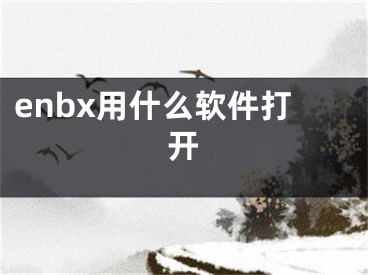 enbx用什么软件打开