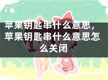 苹果钥匙串什么意思，苹果钥匙串什么意思怎么关闭