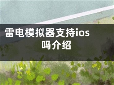 雷电模拟器支持ios吗介绍