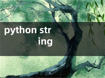 python string