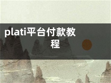 plati平台付款教程