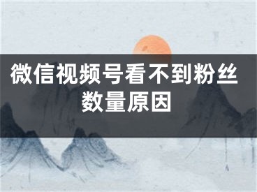 微信视频号看不到粉丝数量原因