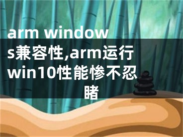 arm windows兼容性,arm运行win10性能惨不忍睹