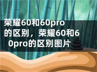 荣耀60和60pro的区别，荣耀60和60pro的区别图片
