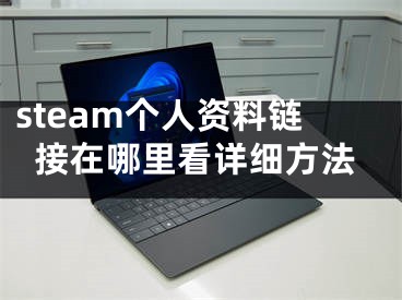 steam个人资料链接在哪里看详细方法