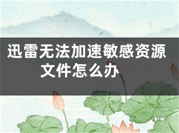 迅雷无法加速敏感资源文件怎么办 