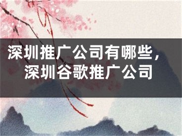 深圳推广公司有哪些，深圳谷歌推广公司