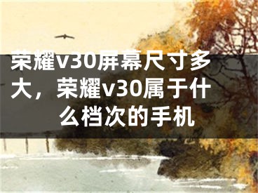 荣耀v30屏幕尺寸多大，荣耀v30属于什么档次的手机