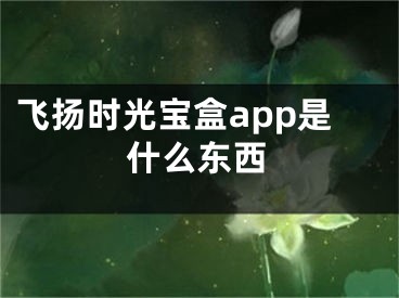 飞扬时光宝盒app是什么东西