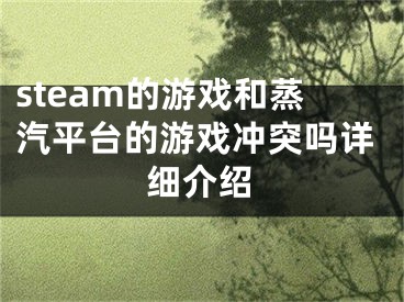 steam的游戏和蒸汽平台的游戏冲突吗详细介绍