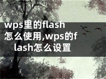 wps里的flash怎么使用,wps的flash怎么设置