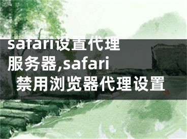 safari设置代理服务器,safari禁用浏览器代理设置