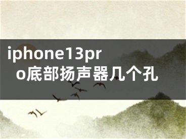 iphone13pro底部扬声器几个孔