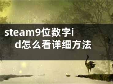 steam9位数字id怎么看详细方法