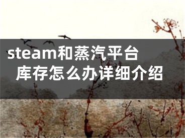 steam和蒸汽平台库存怎么办详细介绍