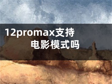 12promax支持电影模式吗