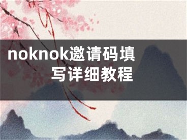 noknok邀请码填写详细教程