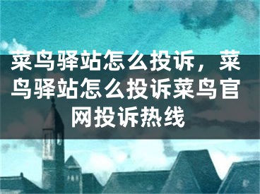 菜鸟驿站怎么投诉，菜鸟驿站怎么投诉菜鸟官网投诉热线