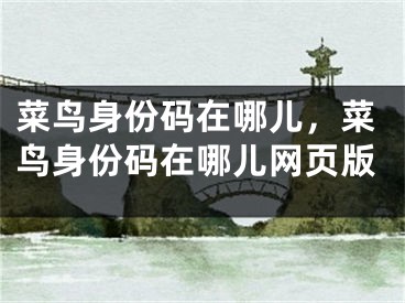 菜鸟身份码在哪儿，菜鸟身份码在哪儿网页版