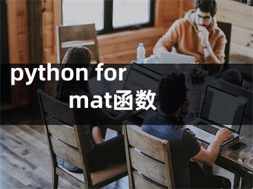 python format函数