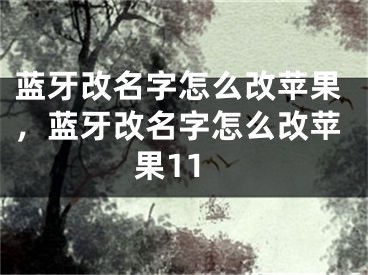 蓝牙改名字怎么改苹果，蓝牙改名字怎么改苹果11