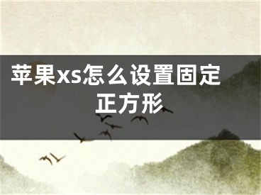 苹果xs怎么设置固定正方形