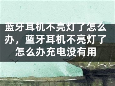 蓝牙耳机不亮灯了怎么办，蓝牙耳机不亮灯了怎么办充电没有用