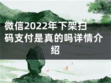 微信2022年下架扫码支付是真的吗详情介绍