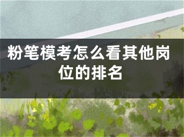粉笔模考怎么看其他岗位的排名