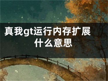 真我gt运行内存扩展什么意思