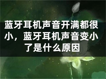 蓝牙耳机声音开满都很小，蓝牙耳机声音变小了是什么原因