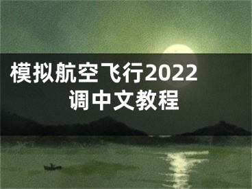模拟航空飞行2022调中文教程