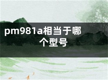 pm981a相当于哪个型号