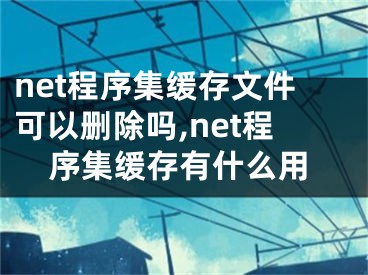 net程序集缓存文件可以删除吗,net程序集缓存有什么用