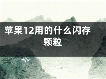 苹果12用的什么闪存颗粒