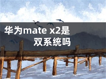 华为mate x2是双系统吗