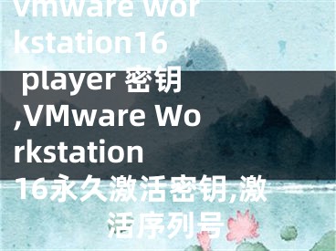 vmware workstation16 player 密钥,VMware Workstation 16永久激活密钥,激活序列号