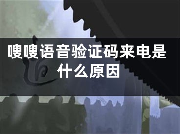 嗖嗖语音验证码来电是什么原因