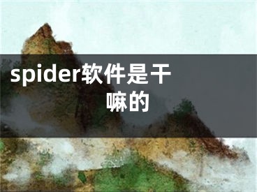 spider软件是干嘛的